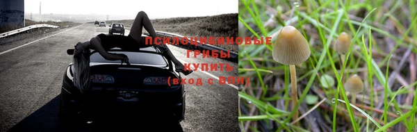 амфетамин Абинск