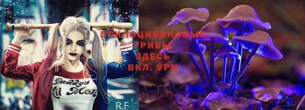 стафф Абаза