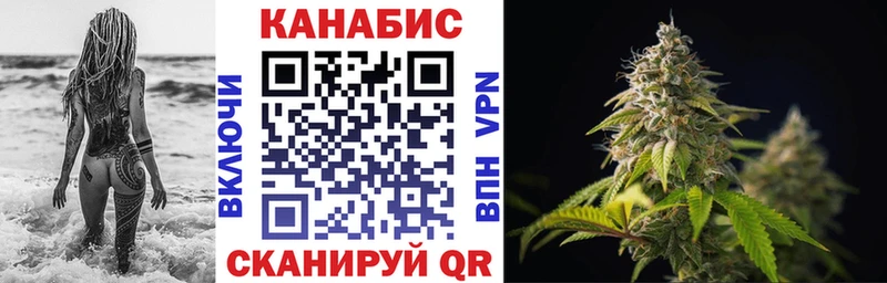 Конопля семена  где продают   Кизляр 